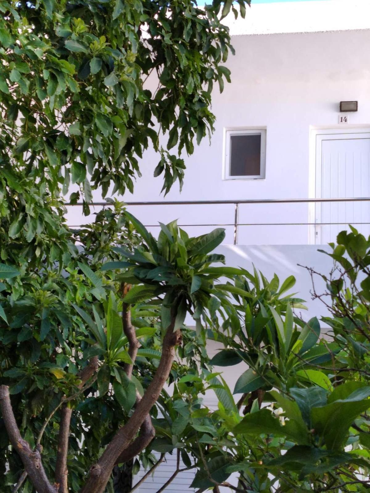 האראקי Maria Studios And Apartments מראה חיצוני תמונה