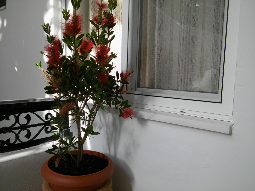 האראקי Maria Studios And Apartments מראה חיצוני תמונה