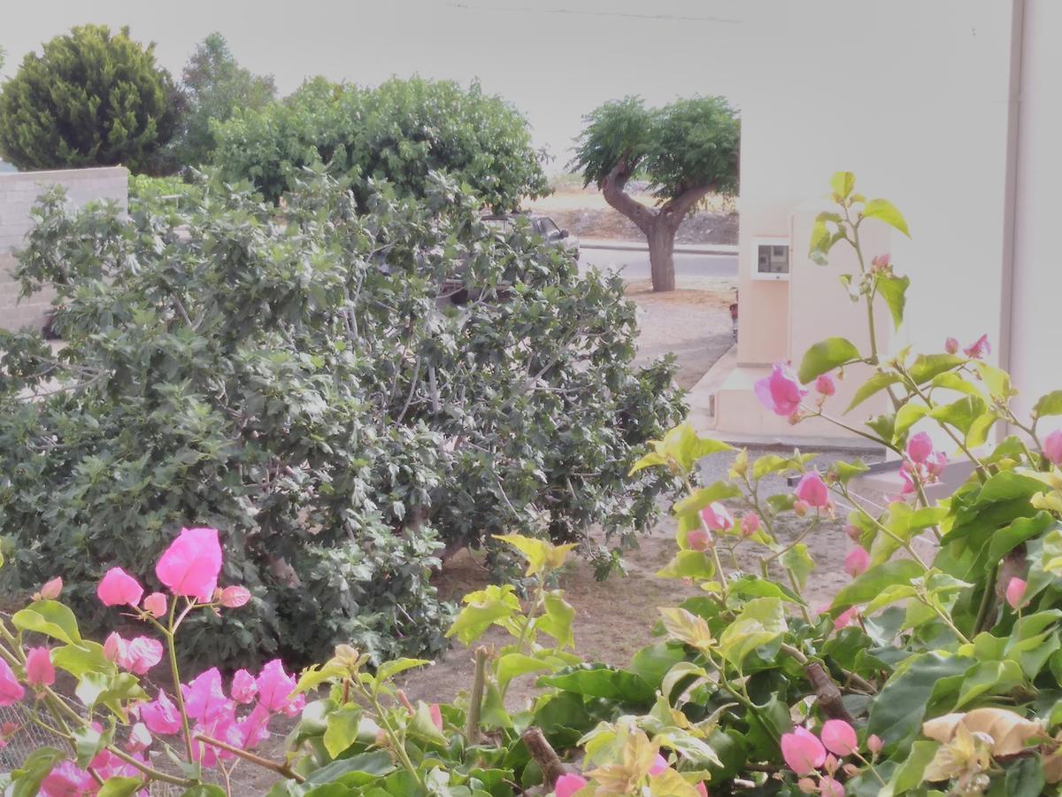 האראקי Maria Studios And Apartments מראה חיצוני תמונה